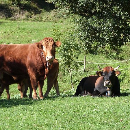 Agriturismo Giandriale Tavarone Dış mekan fotoğraf