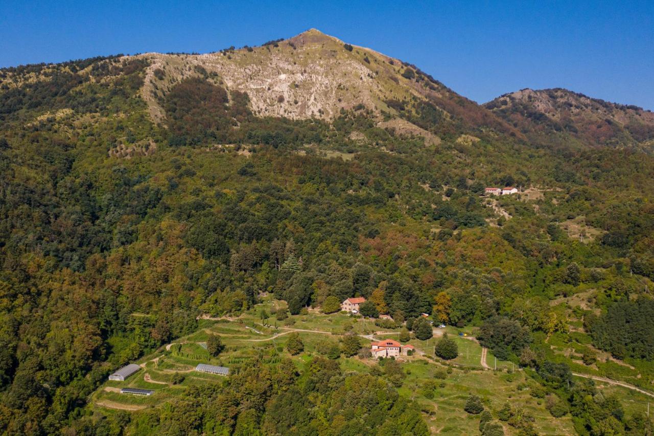 Agriturismo Giandriale Tavarone Dış mekan fotoğraf