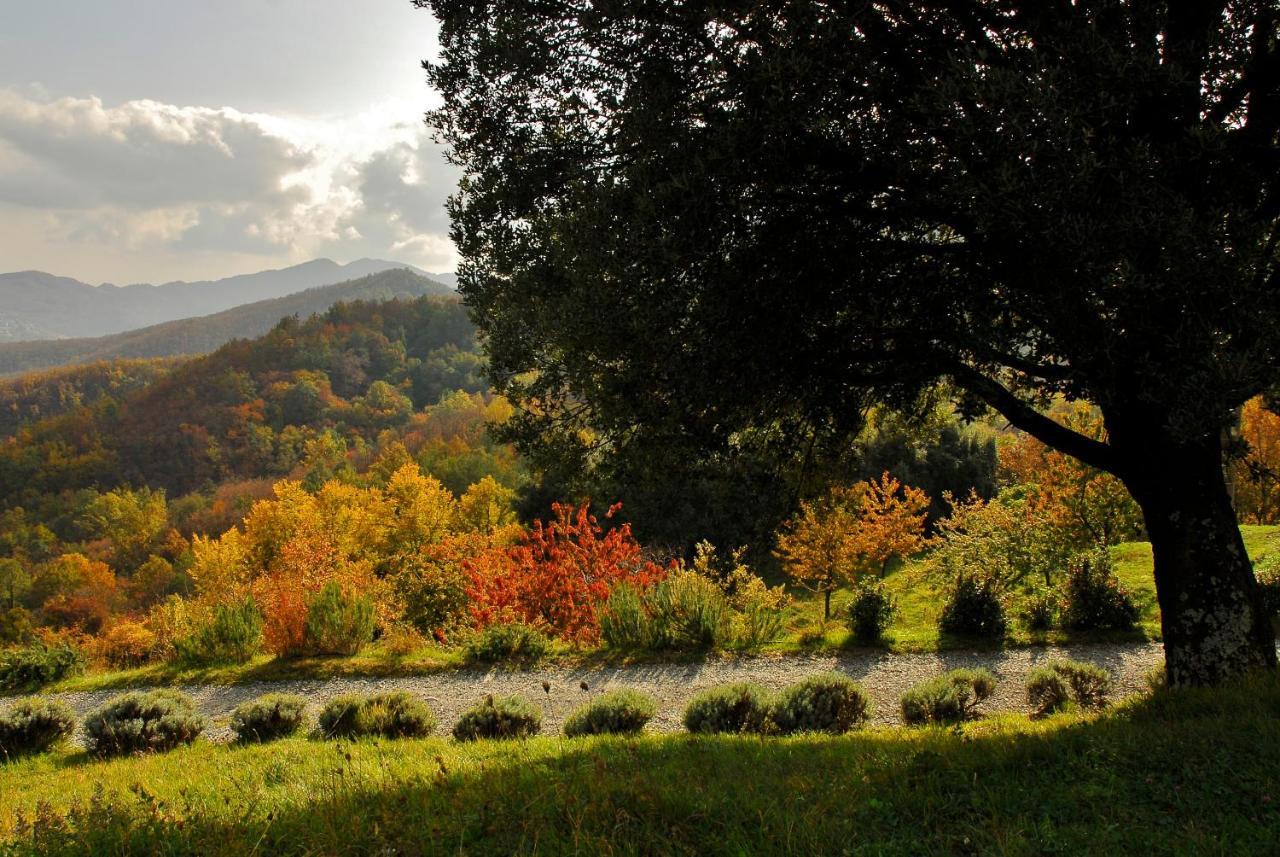 Agriturismo Giandriale Tavarone Dış mekan fotoğraf