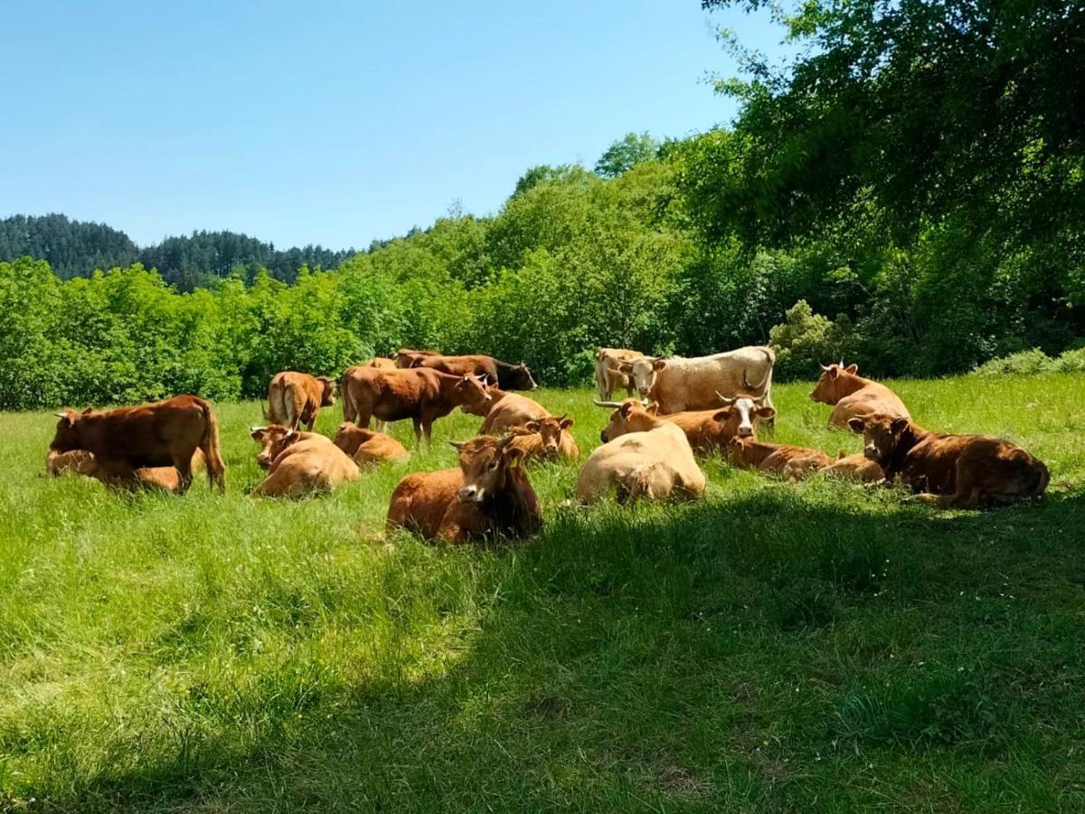 Agriturismo Giandriale Tavarone Dış mekan fotoğraf