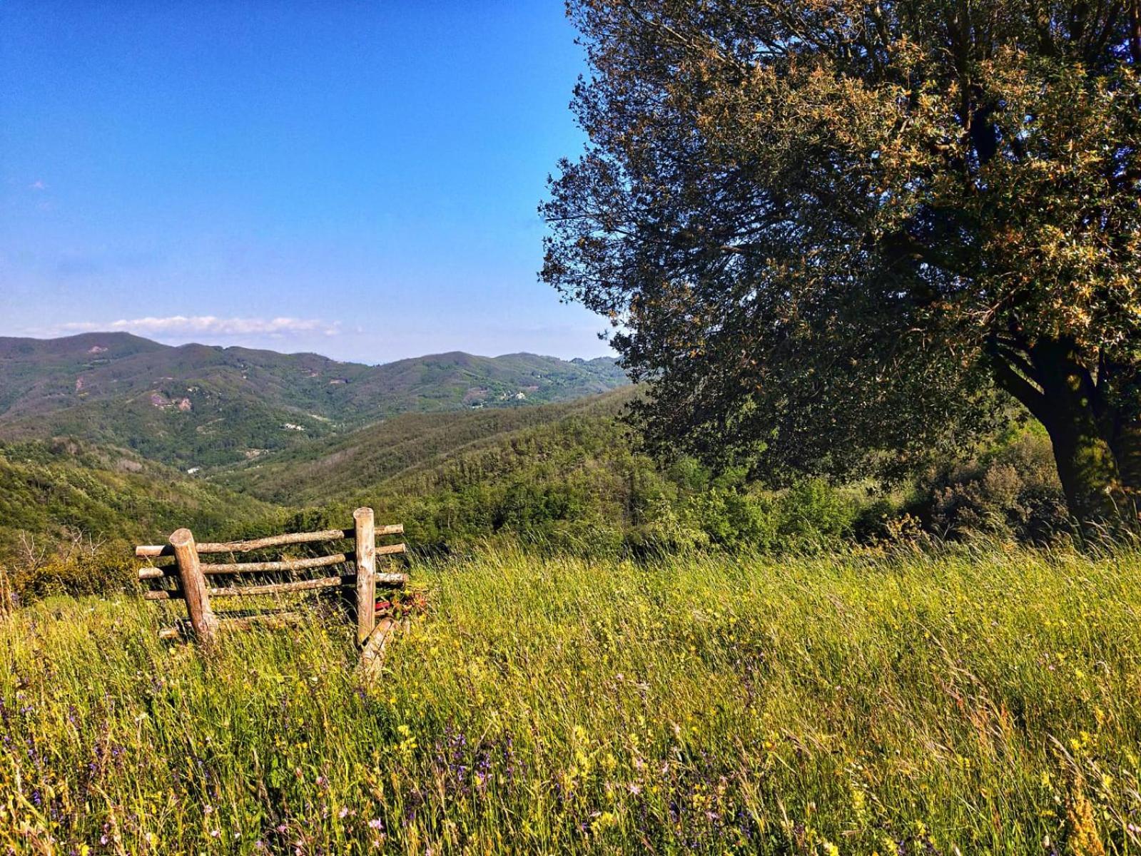 Agriturismo Giandriale Tavarone Dış mekan fotoğraf
